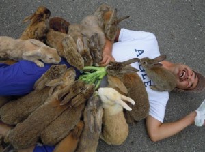 A man is lying on the ground covered with rabbits.