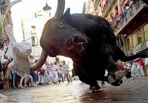 A close up view of a bull during a chase.