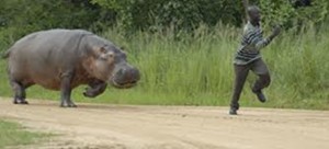 A man is running away from a hippo so he obviously is not thinking about using third person singular at this moment.