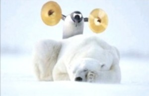 will or going to rules A penguin is standing on a sleeping polar. He is going to bang a pair of cymbals.